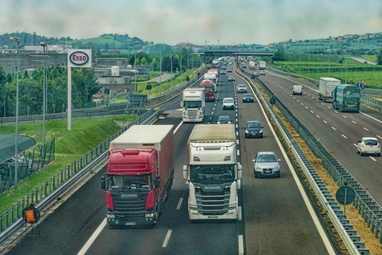 Pojazdy ciężarowe dla floty transportowej